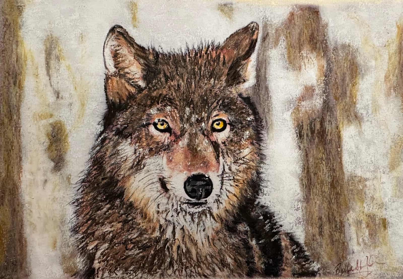 Siberian Wolf by Bella St John