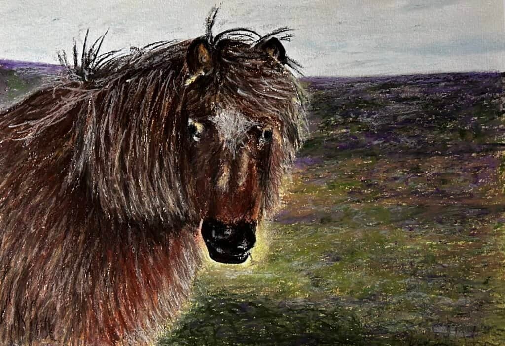 Dartmoor Pony by Bella St John