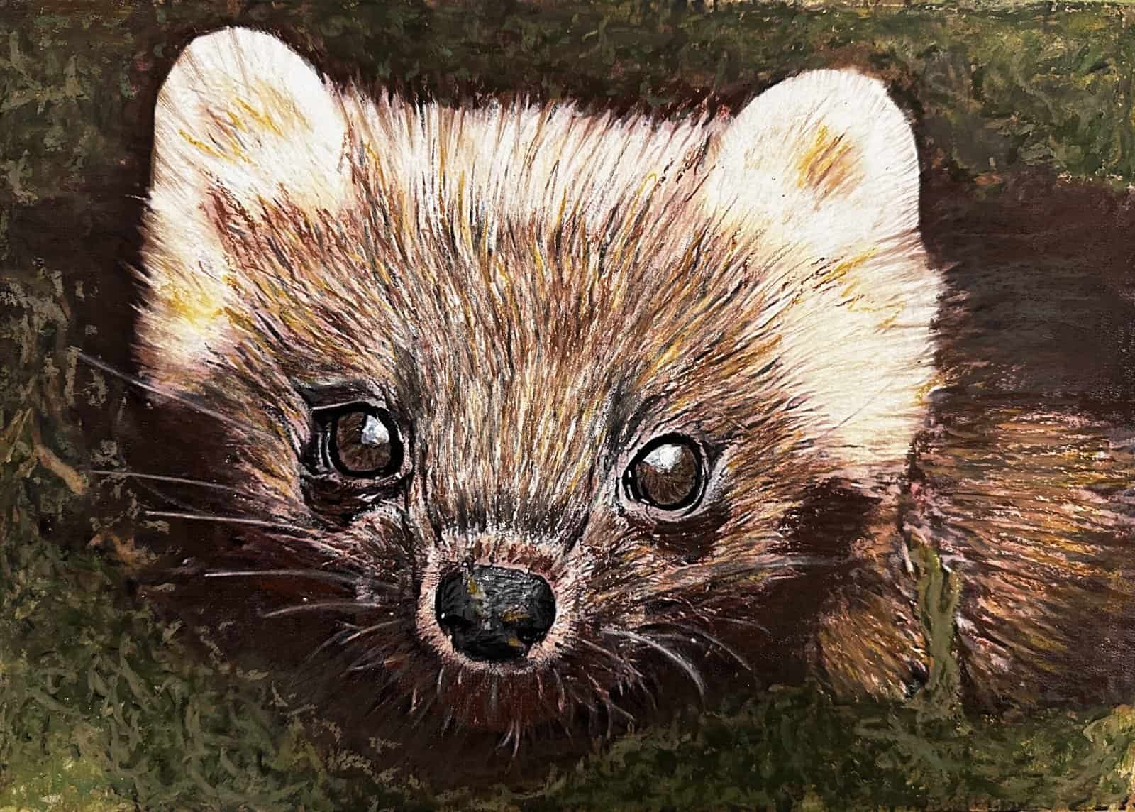 Pine Marten by Bella St John