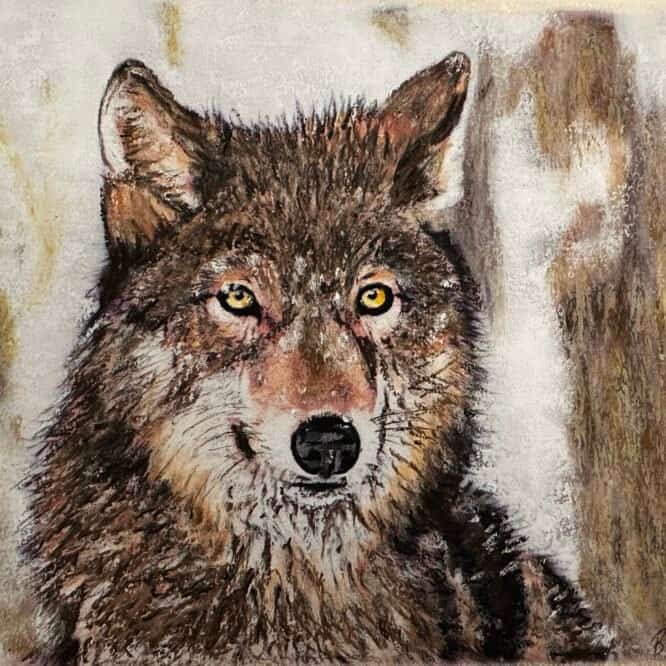 Siberian Wolf by Bella St John
