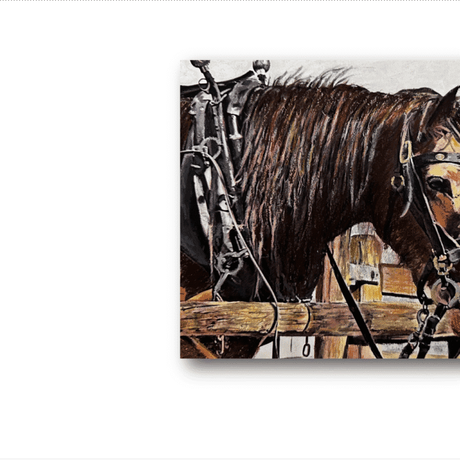 Oil Pastel Portrait of a Beloved Horse
