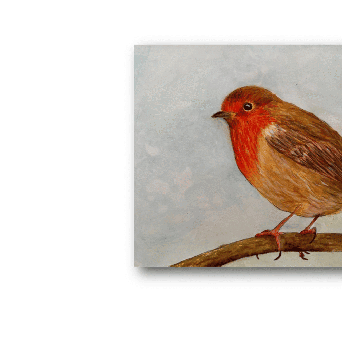 Original Birdlife Portrait - Robin - Watercolour
