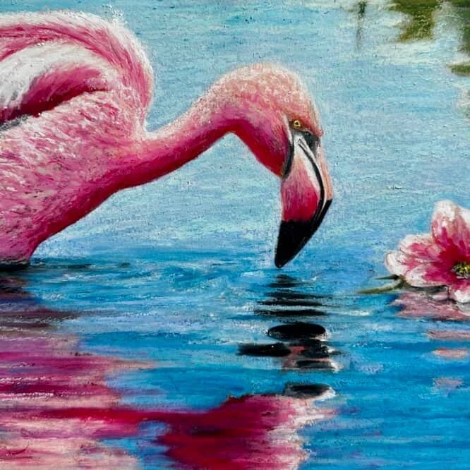 Study in Pink and Blue